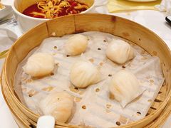 壹号虾饺皇-粤珍轩.创始店.始于2001(含光门店)