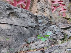 -锦屏山旅游度假区