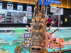 -尖沙咀大酒楼(大沥竹基南店·粤菜海鲜·宴会聚餐)