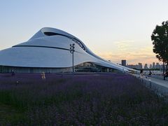 -哈尔滨大剧院