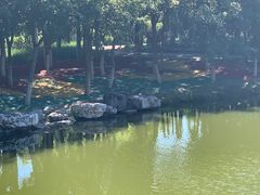 -大兴滨河森林公园