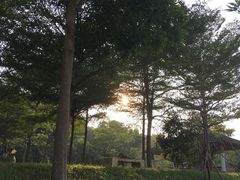 -田野绿世界