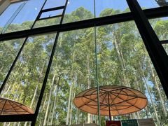 -桉树林A coffee 森林餐厅(三圣乡店)