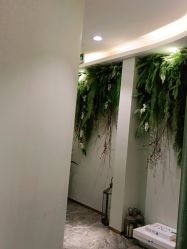 -卡尔诗·科技美肤连锁