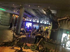 -自贡恐龙博物馆