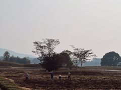 -良渚古城遗址公园