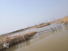 -盐城丹顶鹤湿地生态旅游区