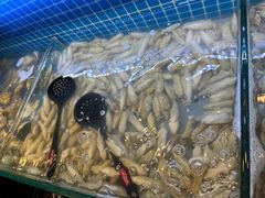 -罗马假日海鲜自助餐厅(星湖广场店)