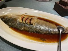 -宝燕壹号(徐汇店)