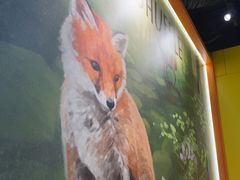 -猎人桌游吧(合生汇店)