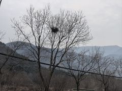 -北沙滩(地铁站)