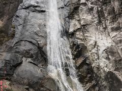 -黑河国家森林公园