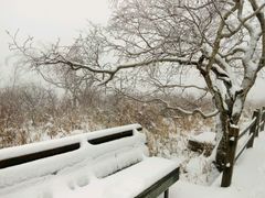 -凤凰山国家森林公园