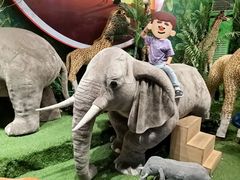 -济州岛泰迪熊博物馆