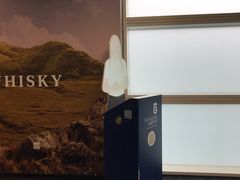 -格拉斯哥国际机场