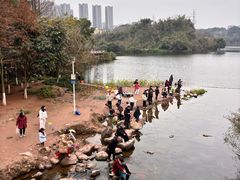 -重庆彩云湖湿地公园