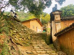 -杨家堂村