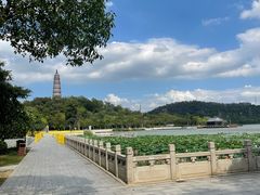 -顺峰山公园