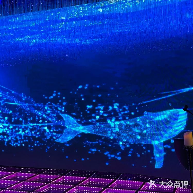 梦幻水晶球🔮内就餐是什么体验❓