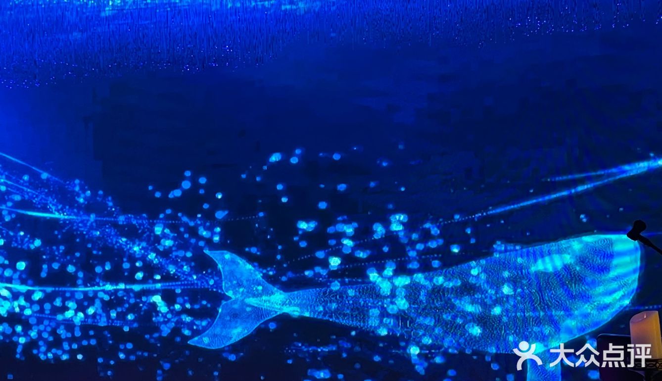 梦幻水晶球🔮内就餐是什么体验❓