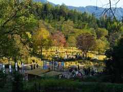 -塔川景区