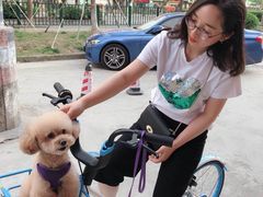 -骐奇宠物诊疗中心(南亭公路店)