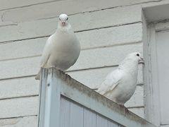 -海州湾会议中心中餐厅
