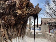 -张掖大佛寺景区