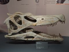-自贡恐龙博物馆