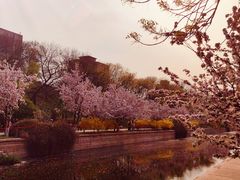 -元大都城垣遗址公园