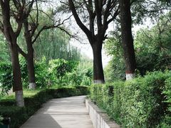 -西安汉城湖景区