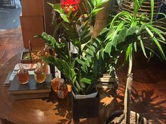 -陶享时光西餐·下午茶·竹林花园(新城店)
