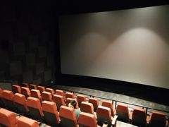 -喜满客影城(汉神广场店)