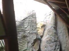 -海口观澜湖火山温泉谷