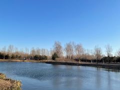 -东郊湿地公园