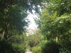 -杭州城北体育公园