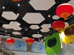 -中国宋庆龄青少年科技文化交流中心