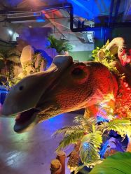 -恐龙探索乐园(磁器口店)