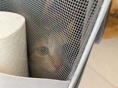 -艾贝尔宠物医院 ·中兽医·宠保定点(北门桥店)