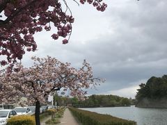 -名古屋城