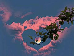 -香山公园-东宫门售票处