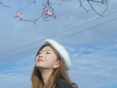 -广东花都香草世界旅游度假区