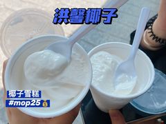 -洪馨椰子
