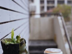 -nodcafe(M50创意园店)