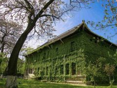 -山东大学(趵突泉校区)