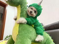 -Steaking·食间牛排(和平店)