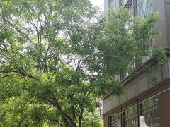 -中粮·祥云小镇