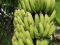 -麦园农庄·西江河鲜