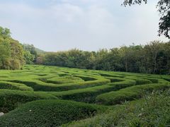 -大屏嶂森林公园