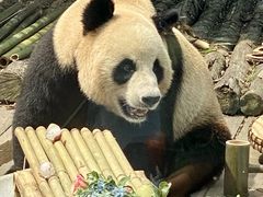 -大连森林动物园